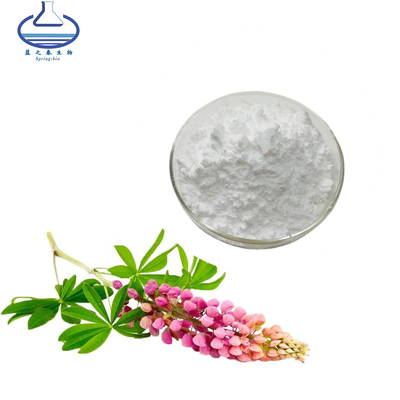 Pure Natural Lupinus Lupin Extract Powder 98% Lupeol For Skin Care