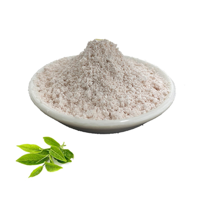 99% 80% Green Tea Extract EGCG Pure Plant Extracts