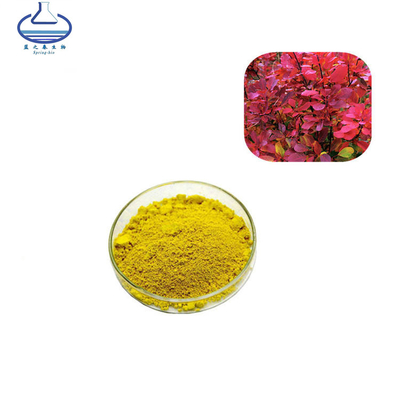 528-48-3 cotinus coggygria fisetin Extract Powder 98%