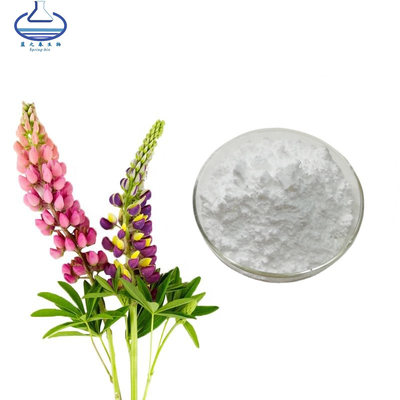 Pure Natural Lupinus Lupin Extract Powder 98% Lupeol For Skin Care