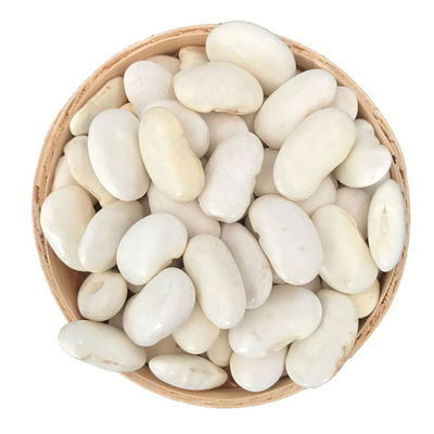 White Kidney Bean Extract Powder Pure Plant Extracts