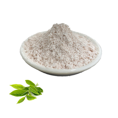 99% 80% Green Tea Extract EGCG Pure Plant Extracts