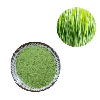 Solvent Extraction Pure Plant Extracts Organic Wheat Grass Juice Powder