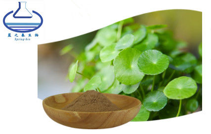 Centella Asiatica Leaf Pure Plant Extracts Asiaticoside 80% CAS 18449-41-7