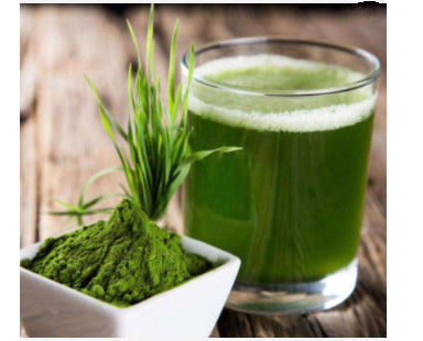 Spring-bio Organic Licorice Extract , Barley Grass Juice Powder For Health Food