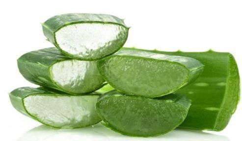 481-72-1 Aloe Vera Extract Powder Aloe barbadensis Miller Cosmetic / Food Grade