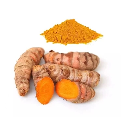 HPLC Food Pigment Tumeric Extract Powder 95% Tumeric Curcumin Powder CAS 458-37-7