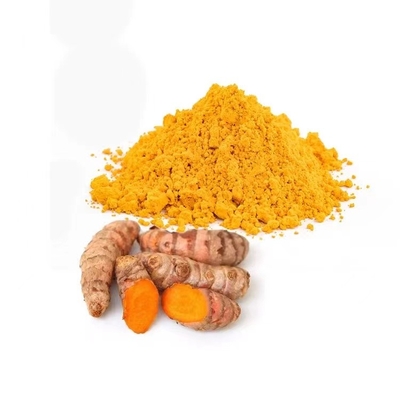 HPLC Food Pigment Tumeric Extract Powder 95% Tumeric Curcumin Powder CAS 458-37-7