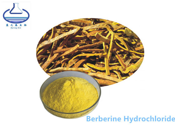 Berberine Hidroklorür Phellodendron Amurense Özü Sarı Toz 633-65-8